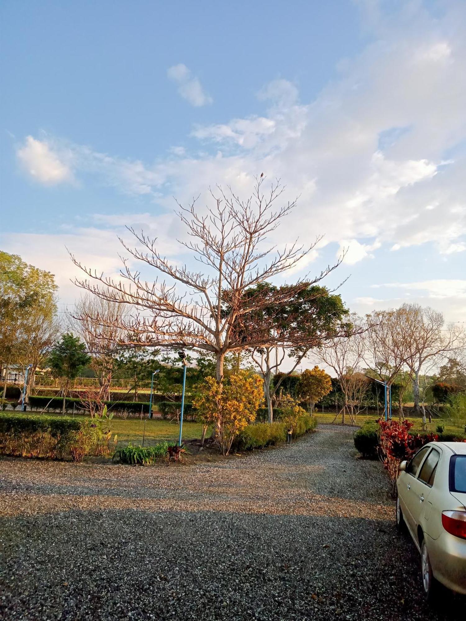 Hostal Maple Feeling Vacation Farm Guangfu Exterior foto