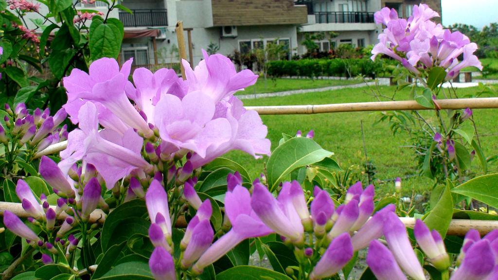 Hostal Maple Feeling Vacation Farm Guangfu Exterior foto